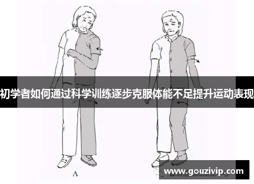 初学者如何通过科学训练逐步克服体能不足提升运动表现