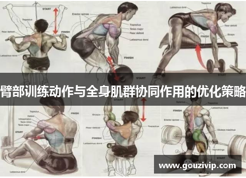臂部训练动作与全身肌群协同作用的优化策略